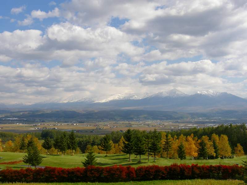 pa131175.jpg